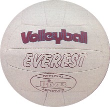 volley-ball1.jpg (15188 bytes)