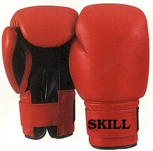 boxing gloves.jpg (14331 bytes)