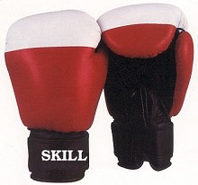 boxing gloves1.jpg (12368 bytes)