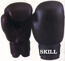 boxing gloves2.jpg (13016 bytes)