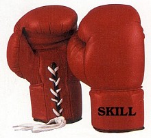 boxing gloves3.jpg (15340 bytes)