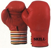 boxing gloves4.jpg (14853 bytes)